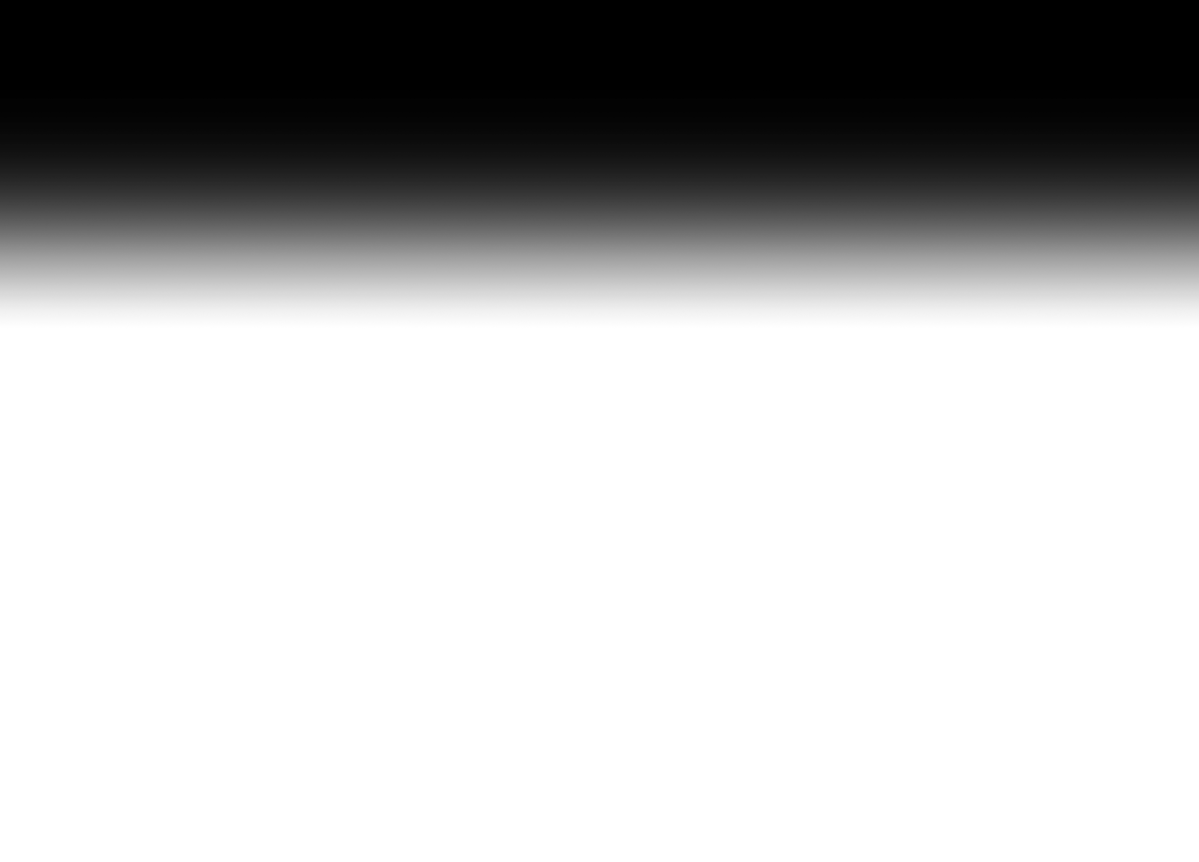 fondu1